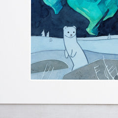 Ermine Weasel Northern Lights Print