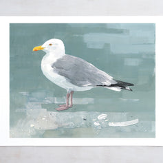 Herring Gull Print