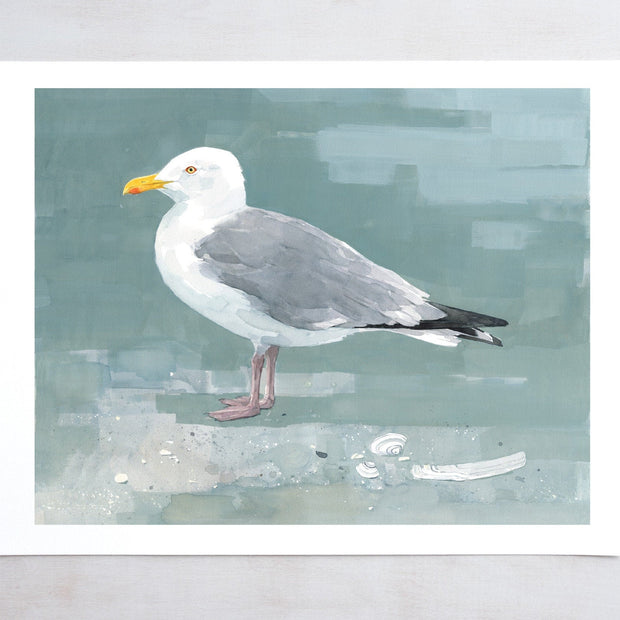 Herring Gull Print
