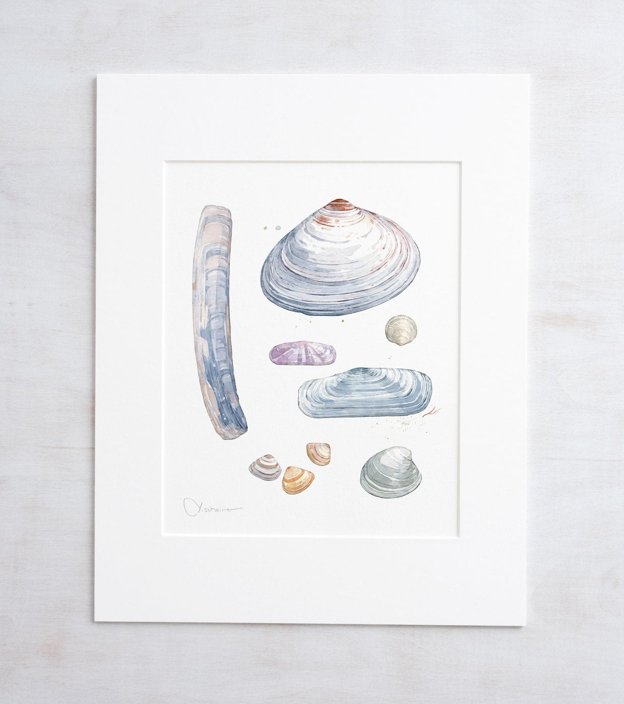 Clam Shells Print