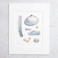 Clam Shells Print