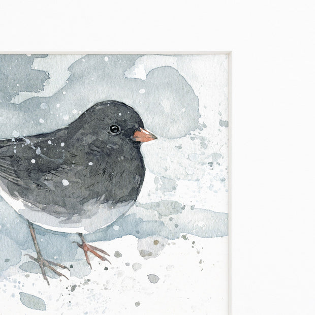 Junco in Snow Art Print