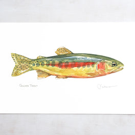 Golden Trout Print:
