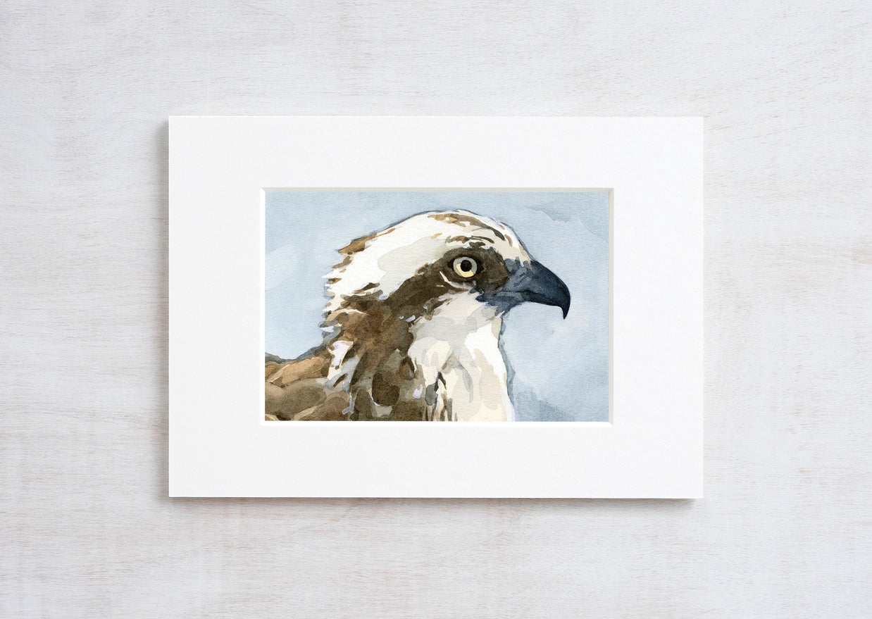 Osprey Watercolor Print