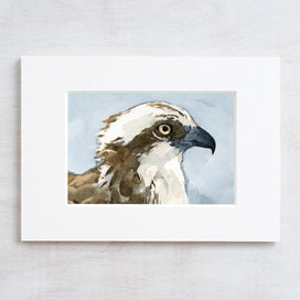 Osprey Watercolor Print
