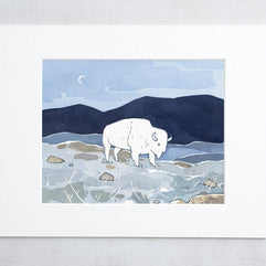 American White Bison Print