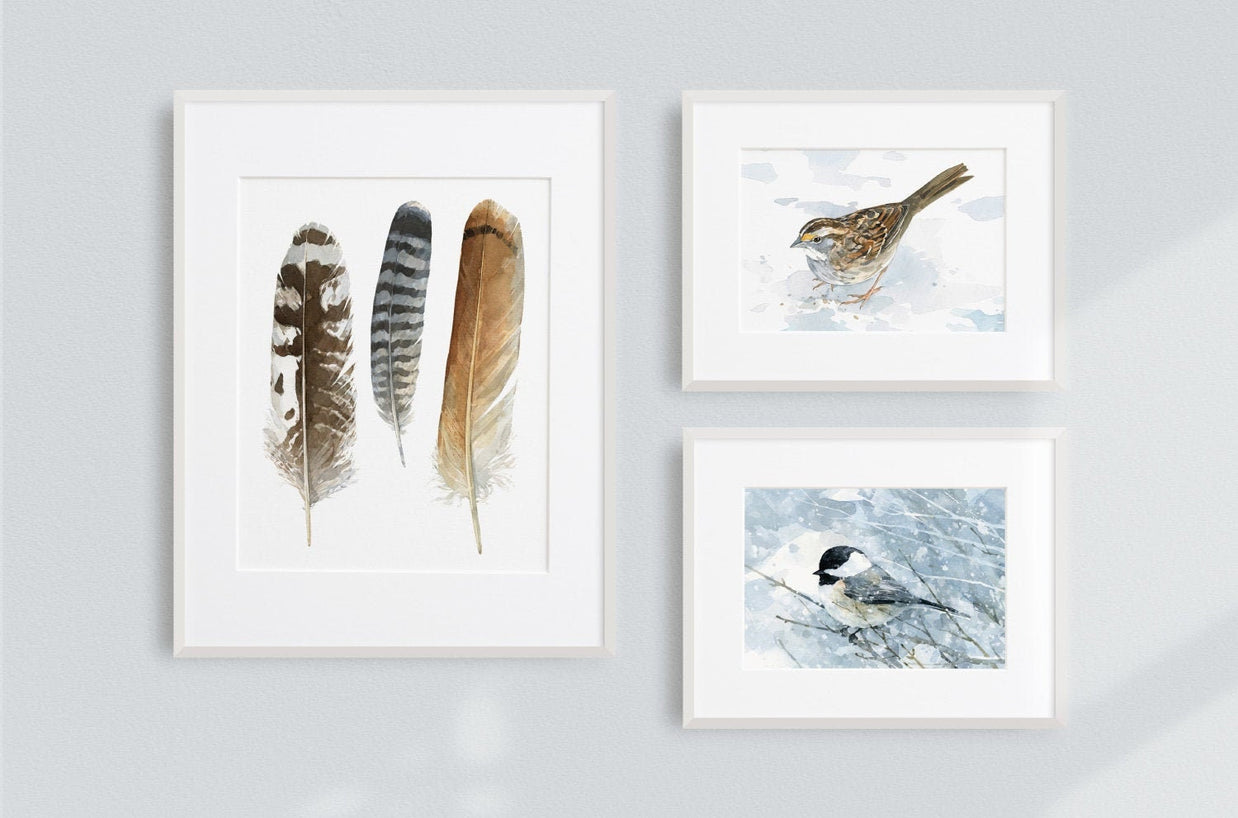 White-Throated Sparrow Print