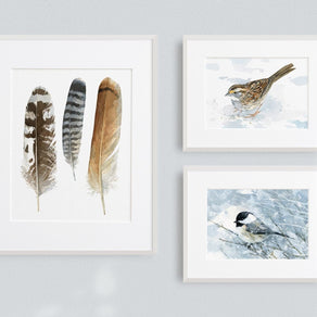 White-Throated Sparrow Print
