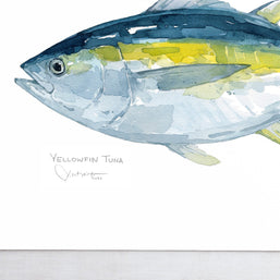 Yellowfin Tuna Print