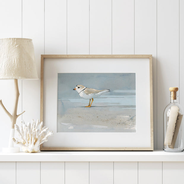 Piping Plover Beach Print