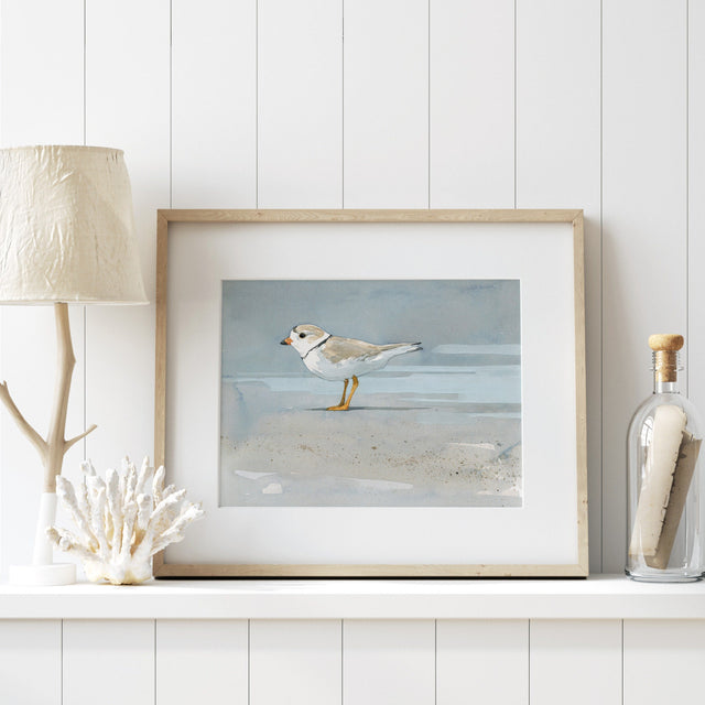 Piping Plover Beach Print
