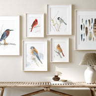 American Kestrel Print