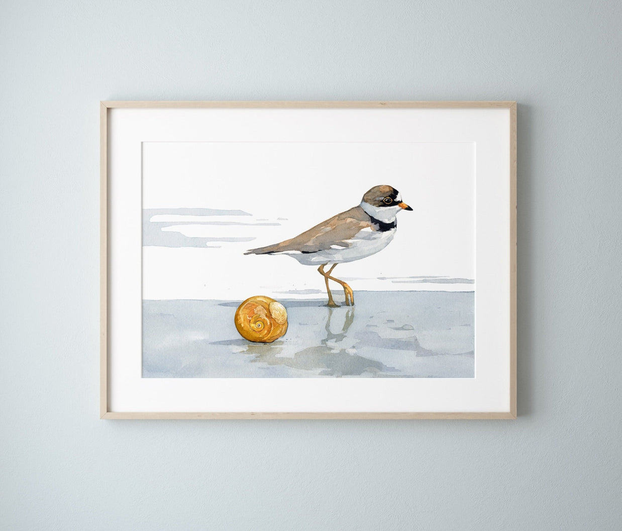 Semipalmated Plover Print