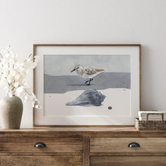 Sandpiper & Whelk Print