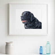 Black Labrador Retriever Print