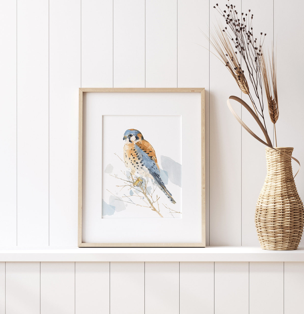 American Kestrel Print