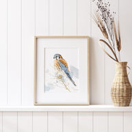 American Kestrel Print