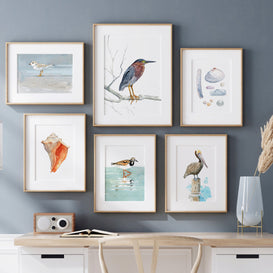 Ruddy Turnstone Print