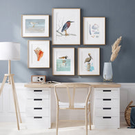 Ruddy Turnstone Print