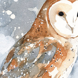 Barn Owl in Snow Card Set