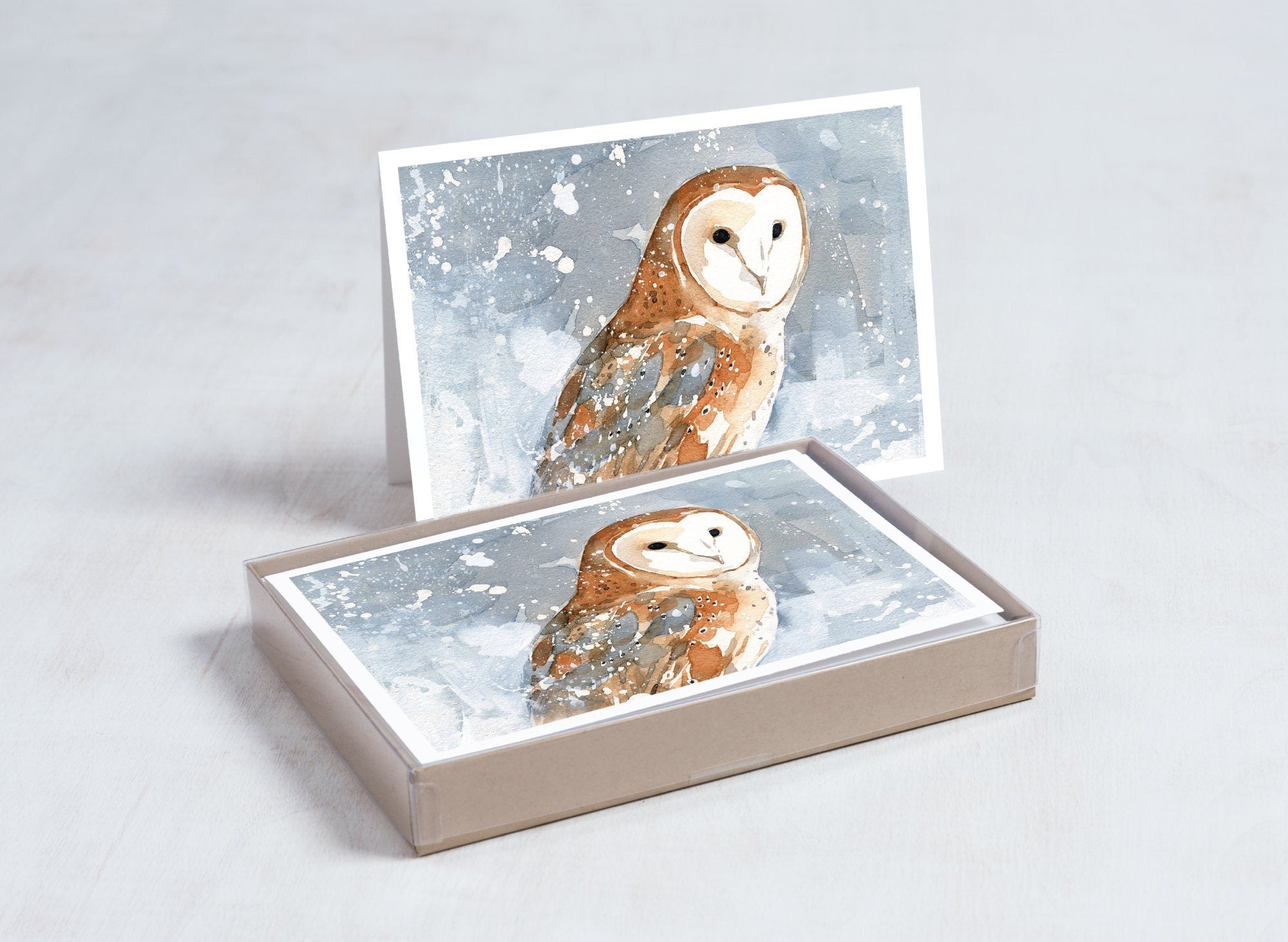 Barn Owl in Snow Card Set