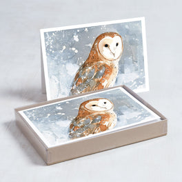 Barn Owl in Snow Card Set