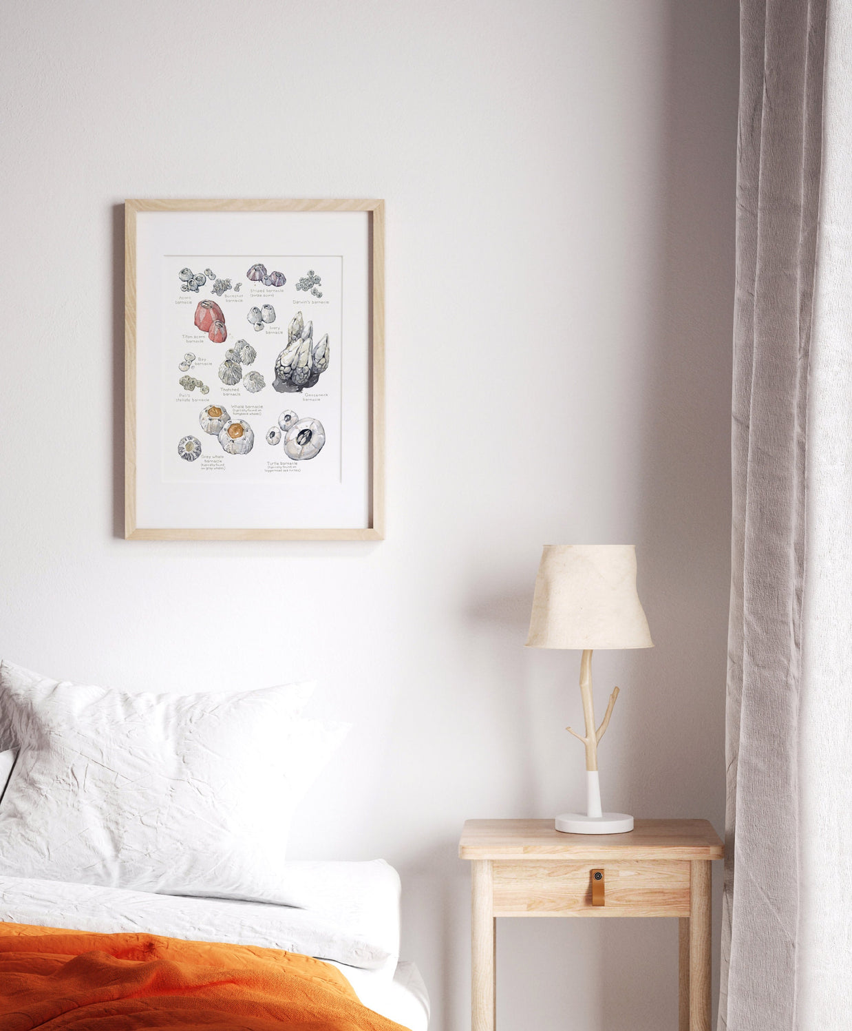 Barnacles Chart Art Print Nautical Watercolor Painting Coastal Wall Decor