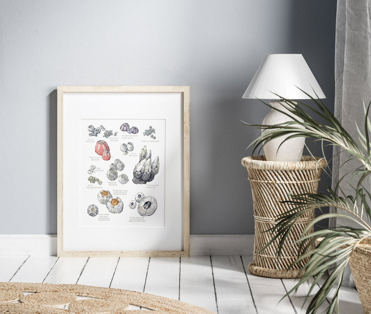 Barnacles Chart Art Print Nautical Watercolor Painting Coastal Wall Decor