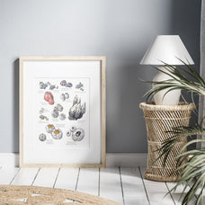Barnacles Chart Art Print Nautical Watercolor Painting Coastal Wall Decor