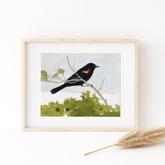 Red-Winged Blackbird Print