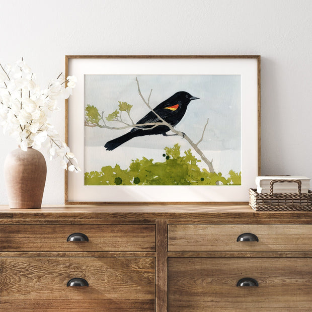 Red-Winged Blackbird Print