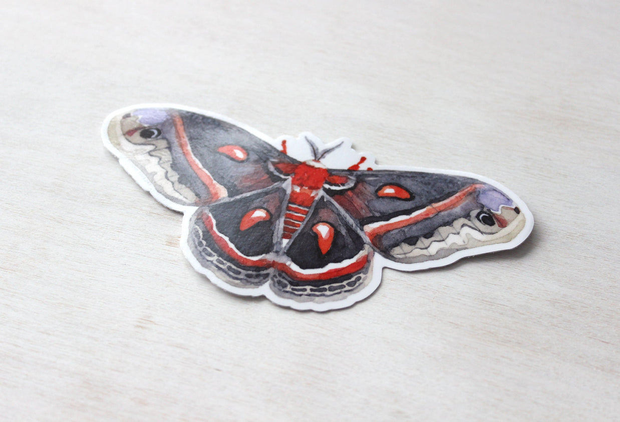 Cecropia Moth Sticker: Waterproof Vinyl Insect Art Decal