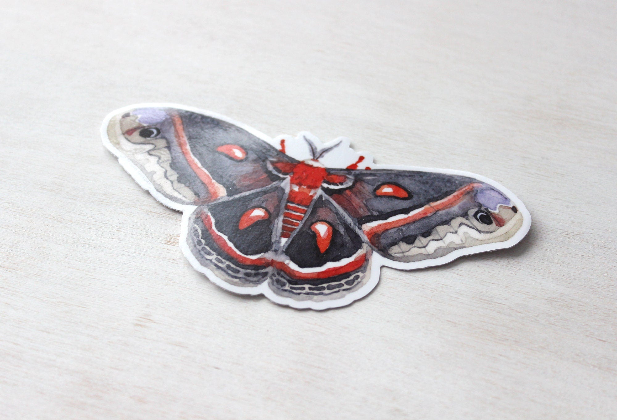 Cecropia Moth Sticker: Waterproof Vinyl Insect Art Decal