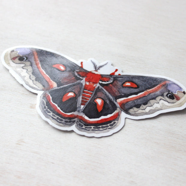 Cecropia Moth Sticker: Waterproof Vinyl Insect Art Decal