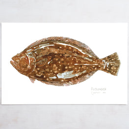 Flounder Print