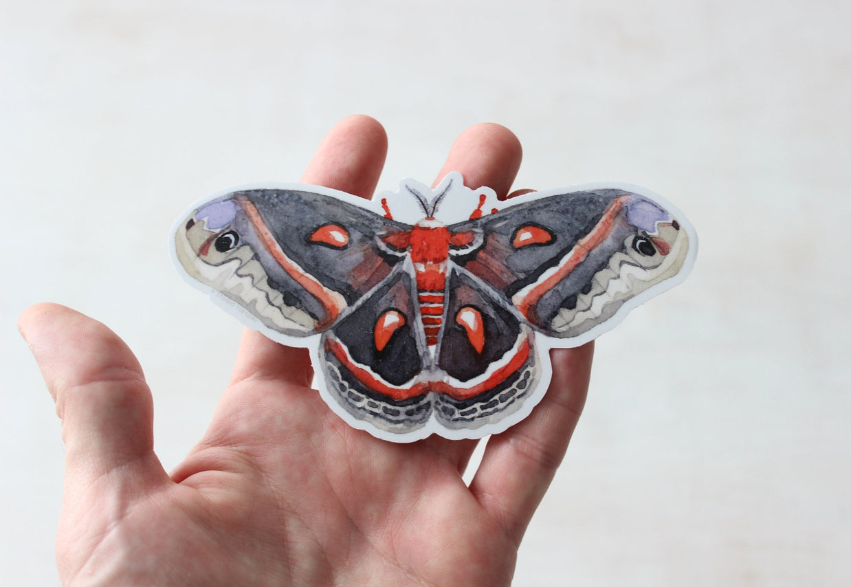 Cecropia Moth Sticker: Waterproof Vinyl Insect Art Decal