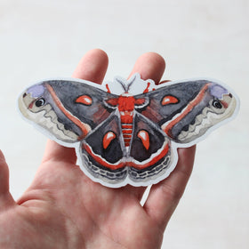 Cecropia Moth Sticker: Waterproof Vinyl Insect Art Decal