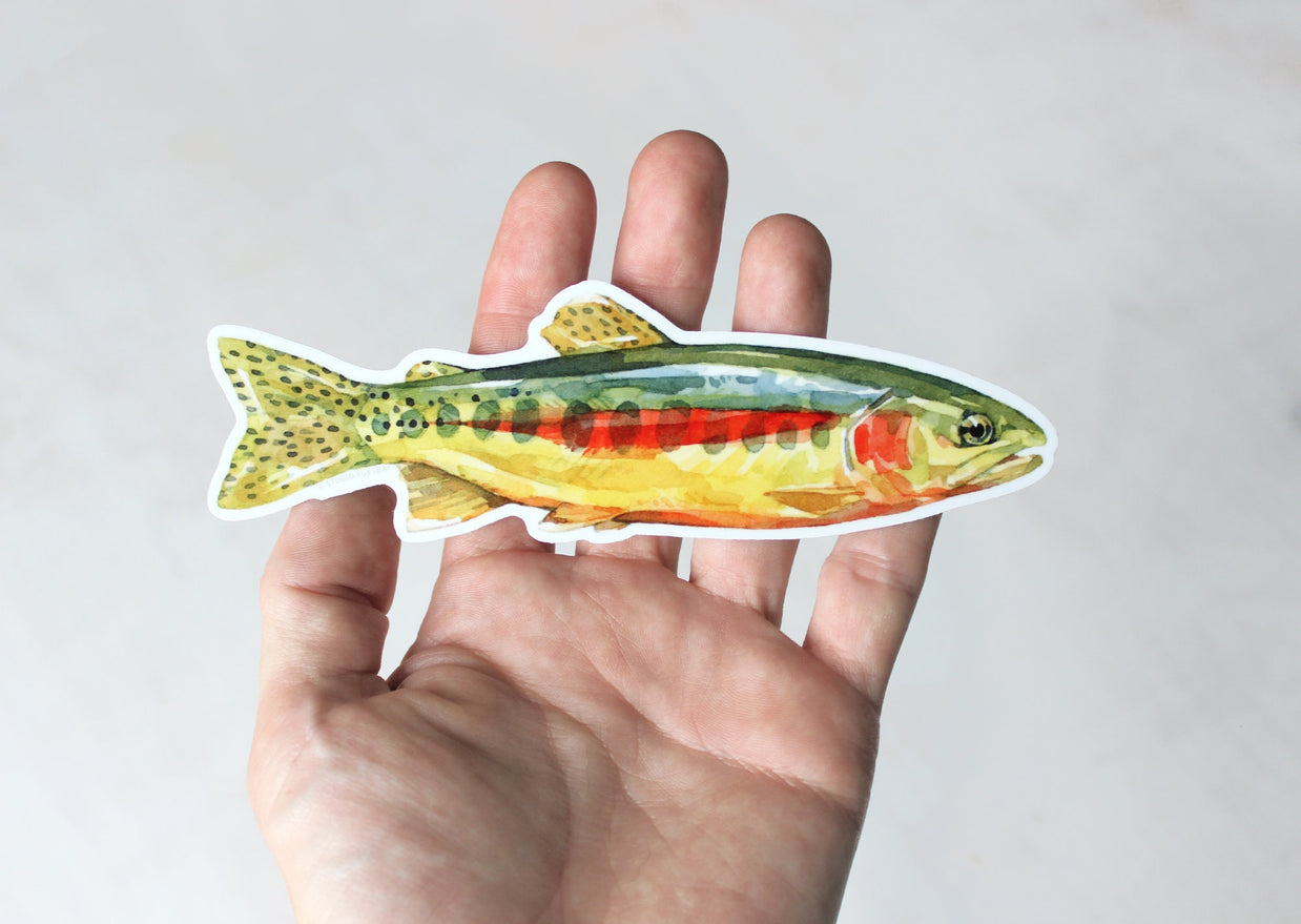 Golden Trout Sticker: Waterproof Vinyl Flyfishing Decal
