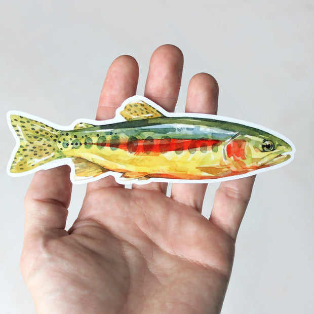 Golden Trout Sticker: Waterproof Vinyl Flyfishing Decal