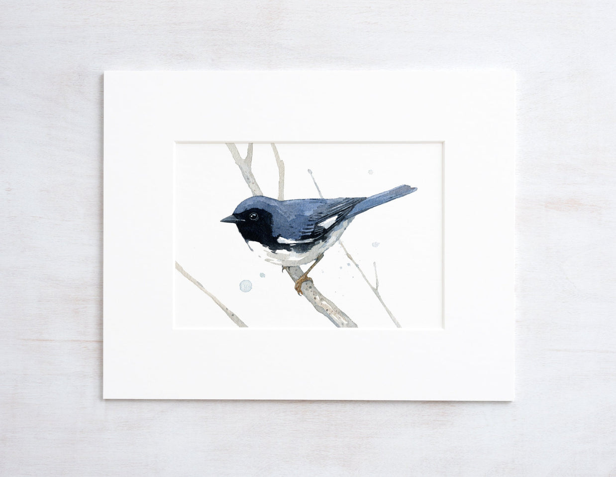 Black Throated Blue Warbler Print