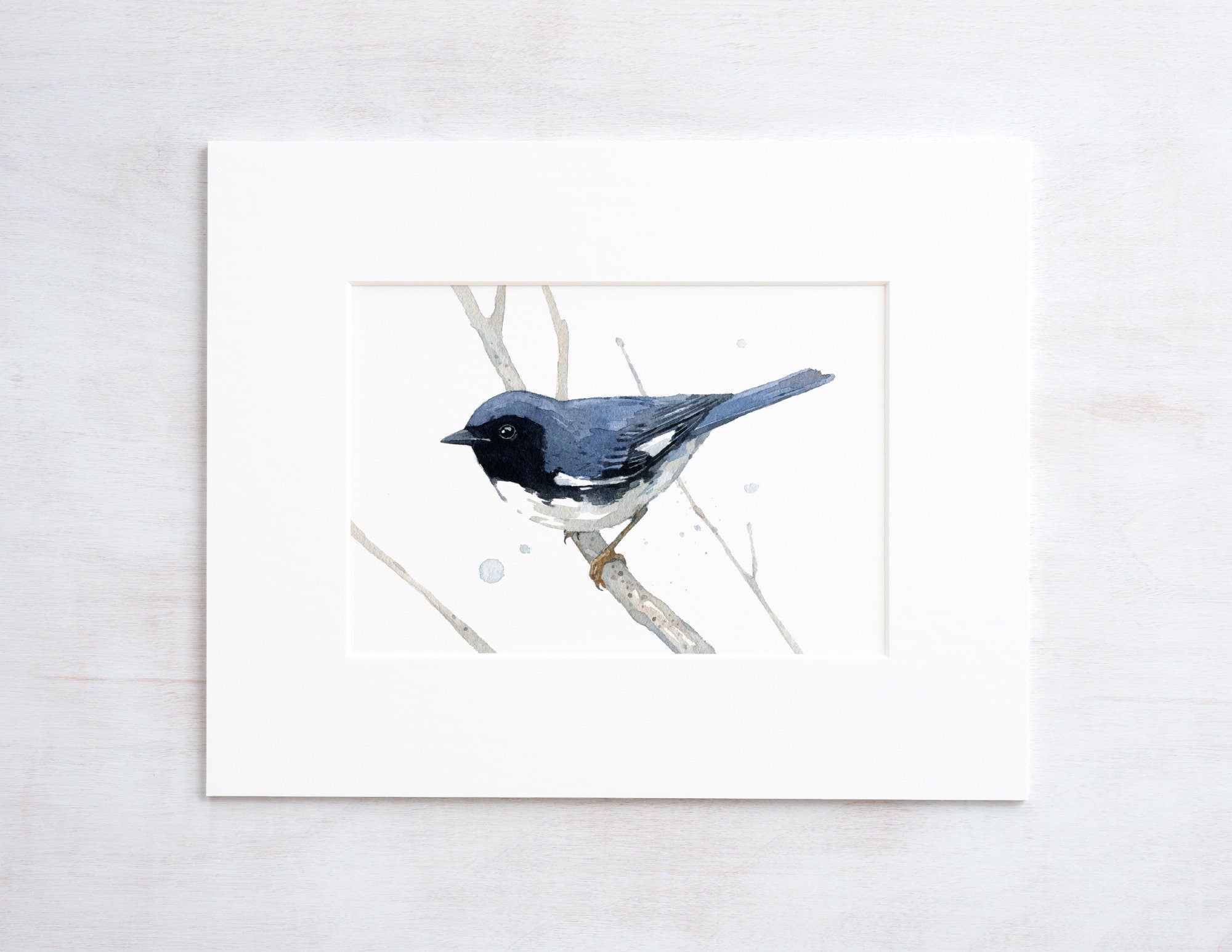 Black Throated Blue Warbler Print