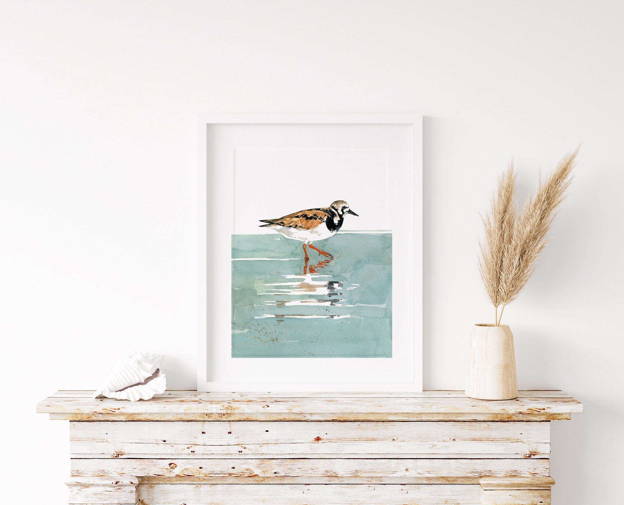 Ruddy Turnstone Print