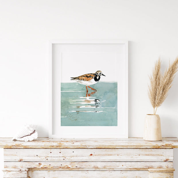 Ruddy Turnstone Print