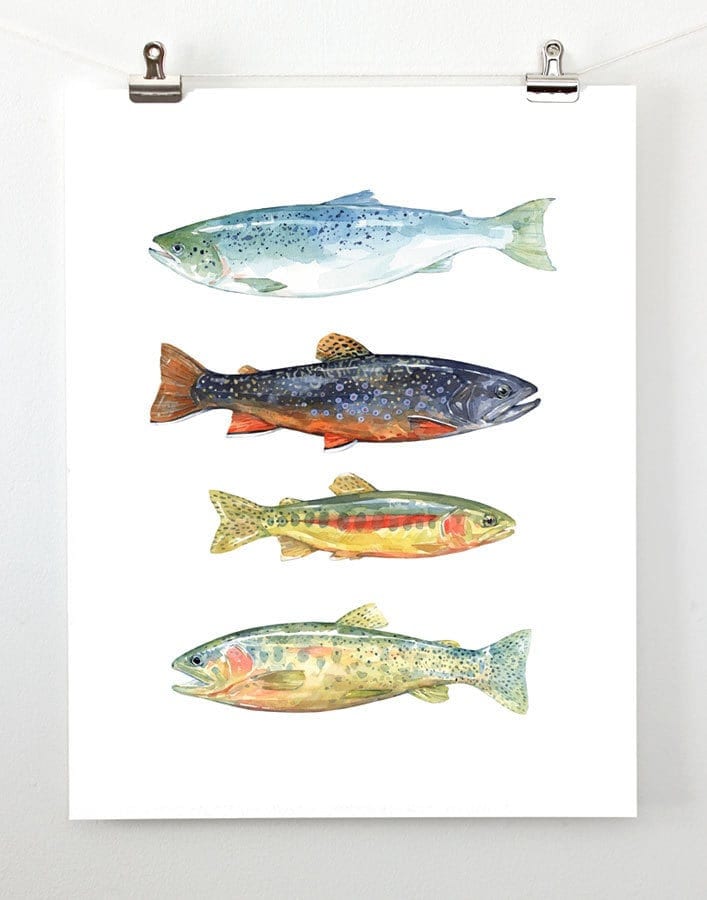 Trout & Salmon Art Print