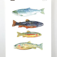Trout & Salmon Art Print
