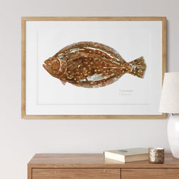 Flounder Print