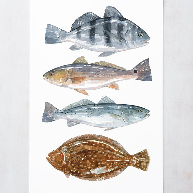 Inshore Saltwater Fish Teir Print