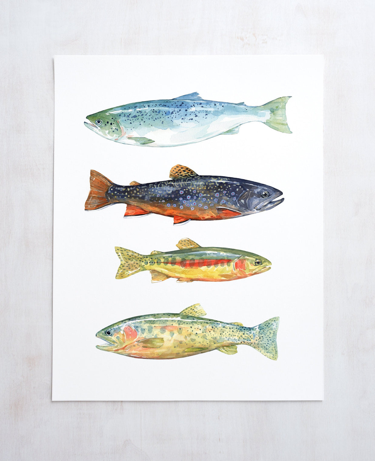 Trout & Salmon Art Print