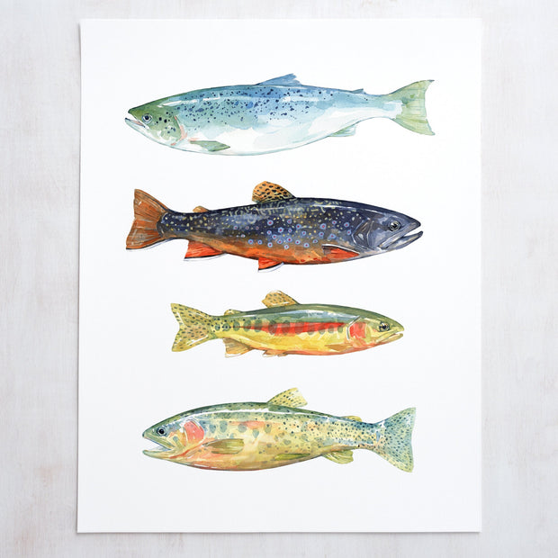 Trout & Salmon Art Print