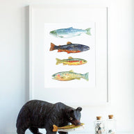 Trout & Salmon Art Print